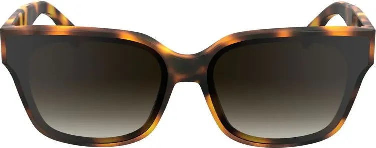 Brown Acetate Sunglasses Karl Lagerfeld