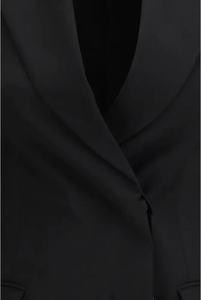 Max Mara dan Blazeri