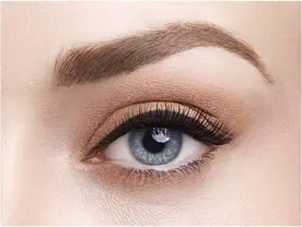 L'Oréal Paris Infallible Eye Paint