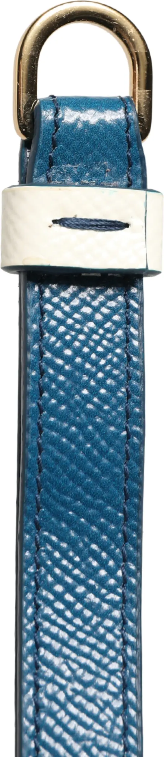 Airpods Case Dolce & Gabbana