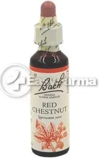 Oral Drops Schwabe Pharma Fiori Di Bach 25 Red Chestnut