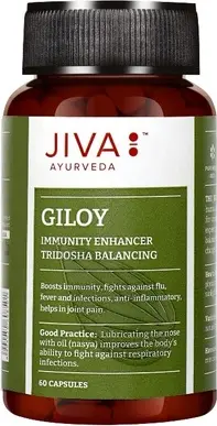 Giloy Dietary Supplement Ayurveda Capsules