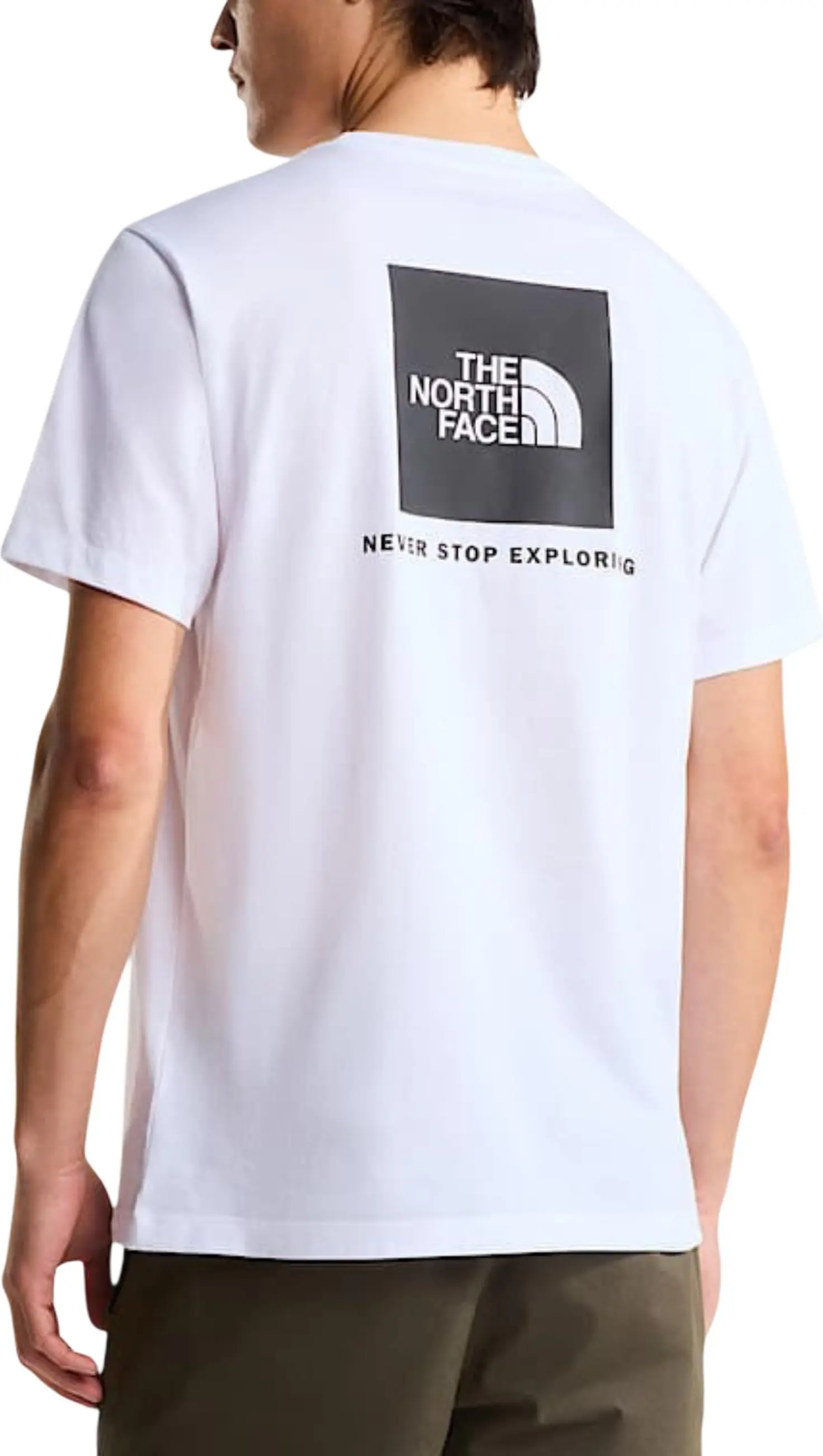 Футболка The North Face