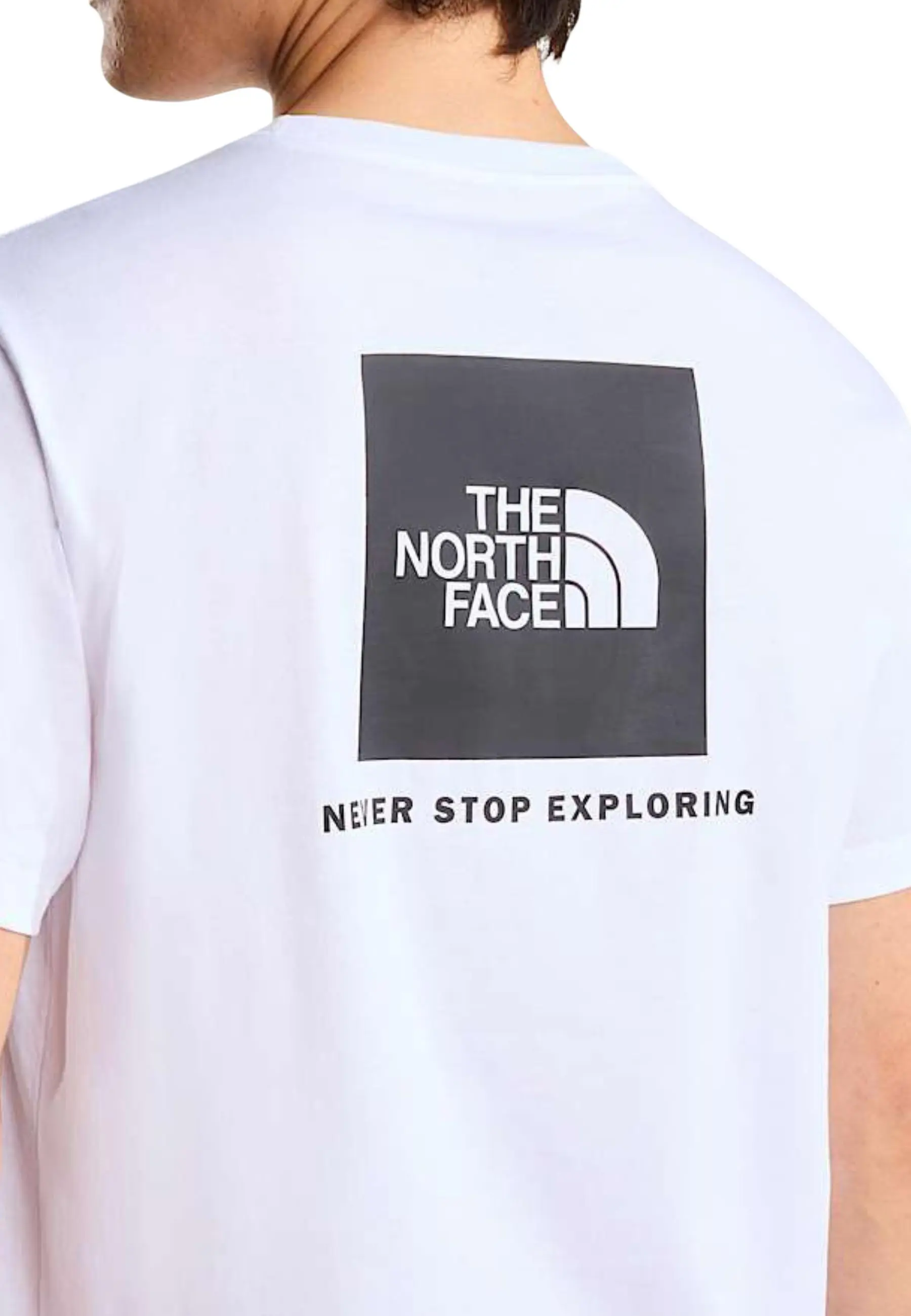 Футболка The North Face