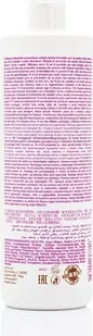 Shampoo Raywell Bio Tea Antihair Loss Shampoo With Green Tea Japanese