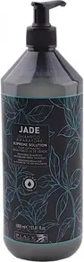 Shampoo Black Professional Line