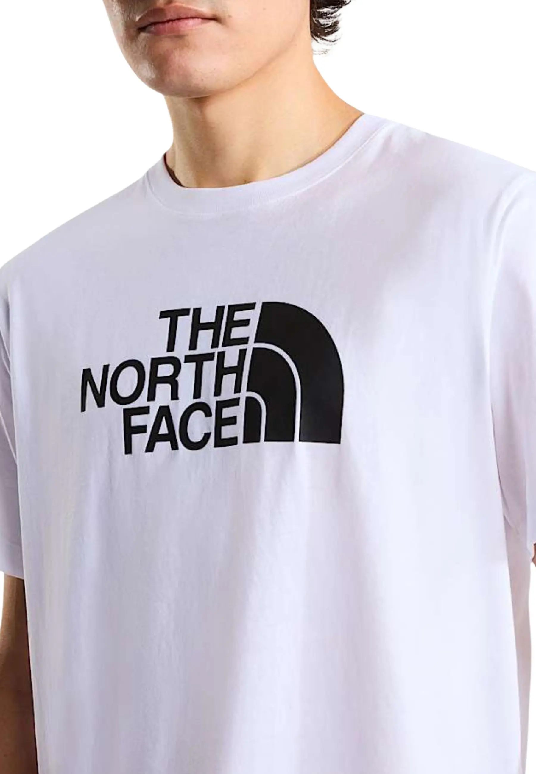 The North Face T-shrits