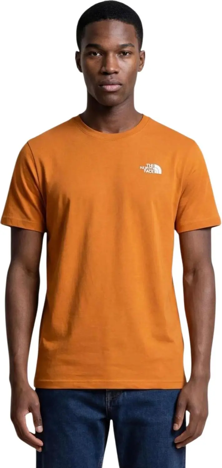 Футболка The North Face