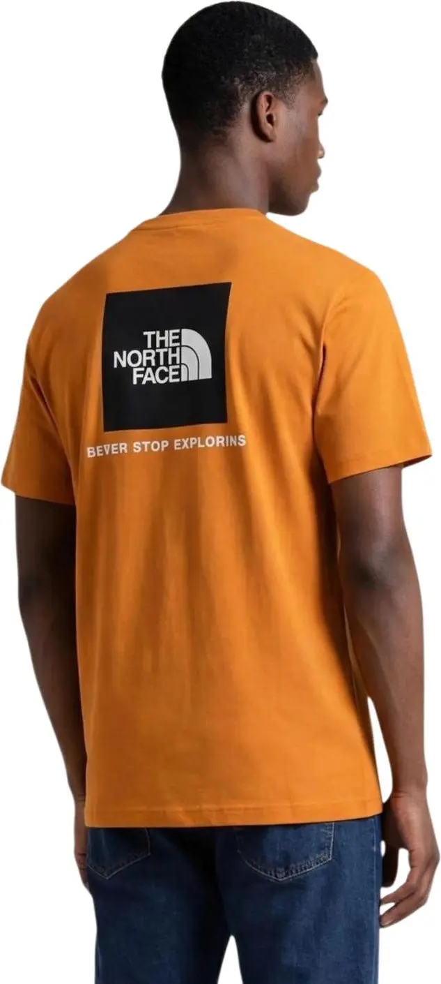 Футболка The North Face