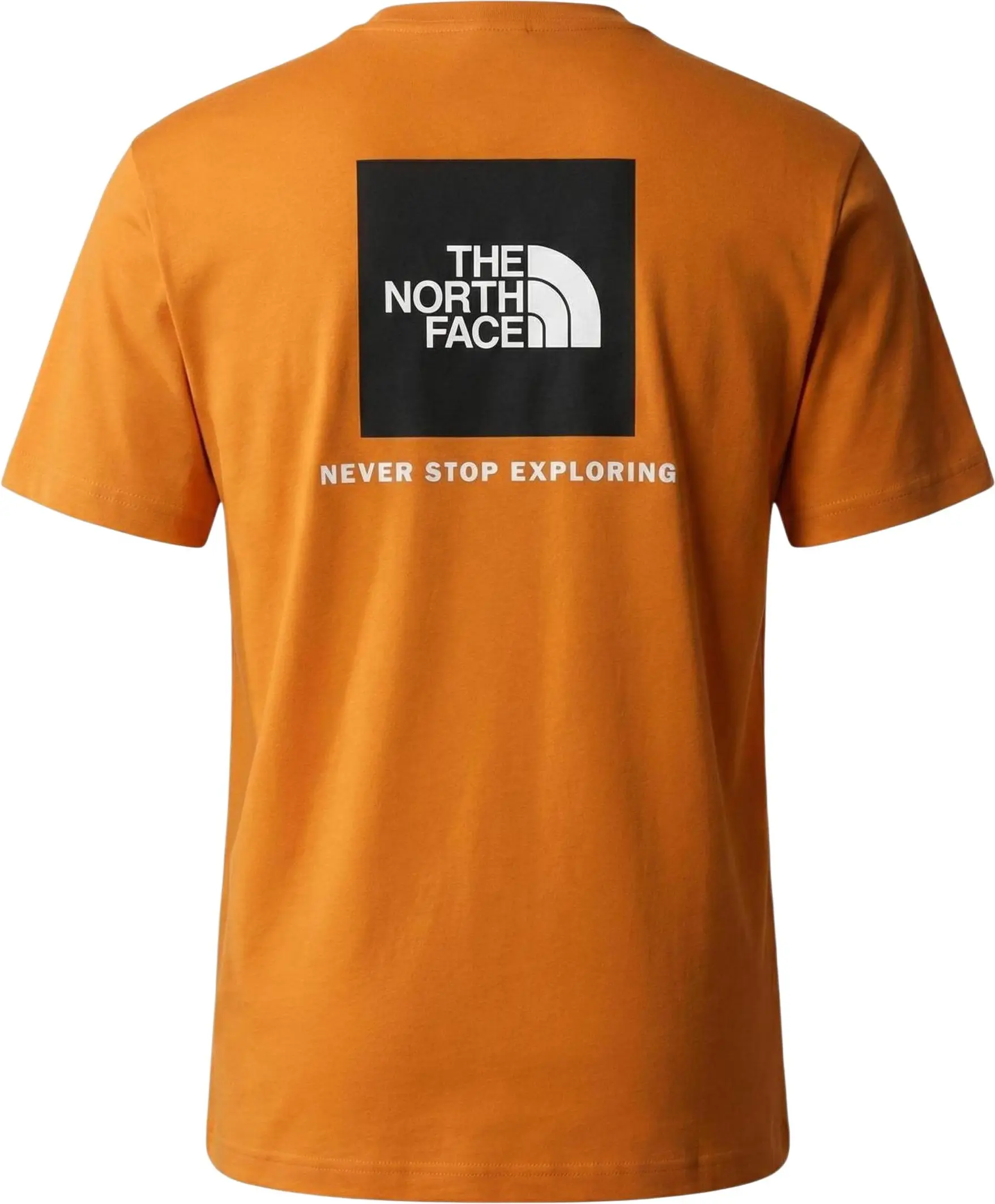 Футболка The North Face