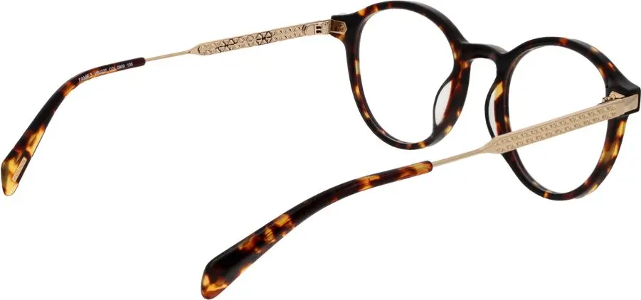 Brown Metal Glasses (Frames) The Police