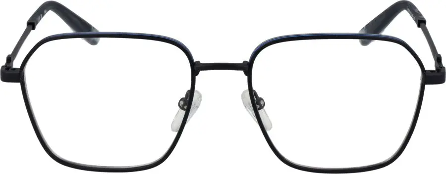 Fila Blue Stainless Steel Glasses (Frames)