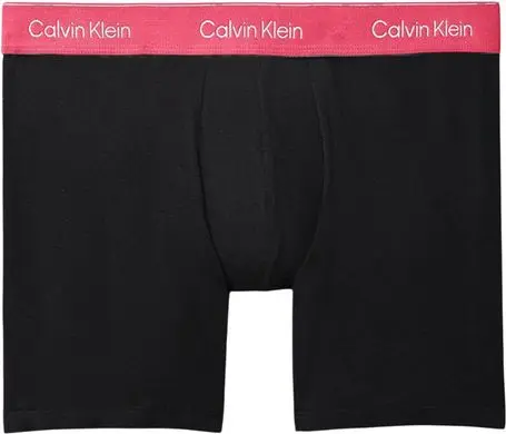Boxer Briefs Calvin Klein Ichki kiyim