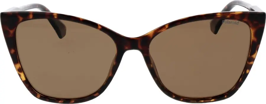 Солнцезащитные очки Polaroid Brown