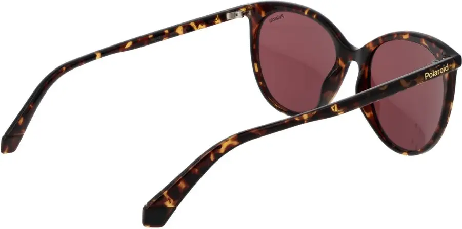 Sunglasses Polaroid Brown