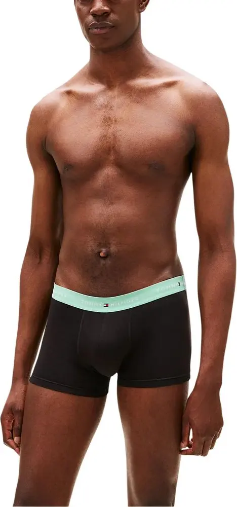 Tommy Hilfiger short ichki kiyim