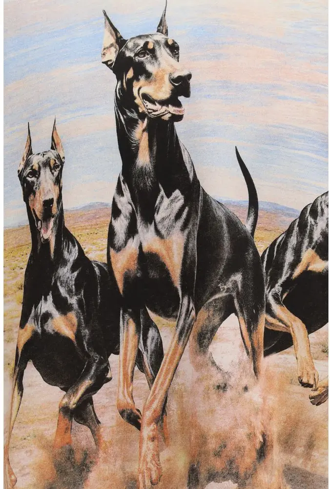 Sweatshirt Represent Western Dobermans Hoodie