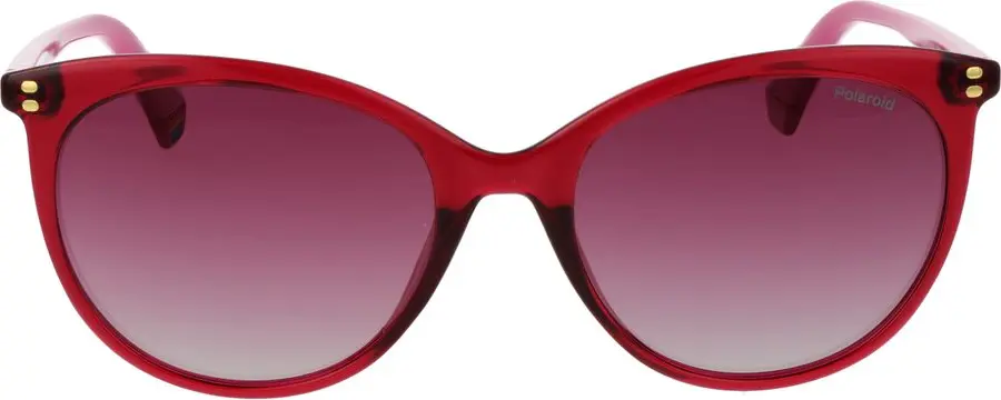 Plastic Sunglasses Polaroid