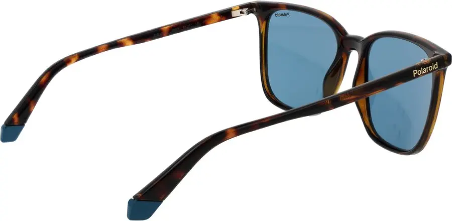 Sunglasses Polaroid Brown