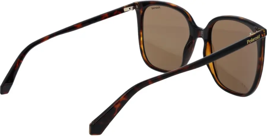 Sunglasses Polaroid Brown