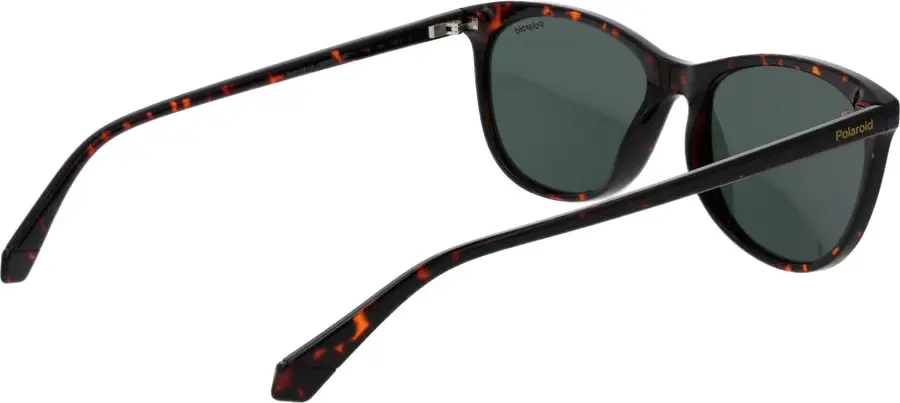 Sunglasses Polaroid