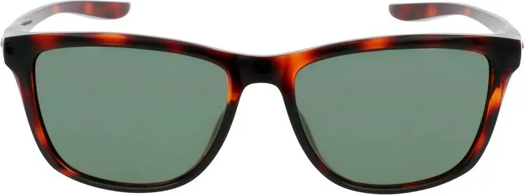 Brown Injected Sunglasses Nike