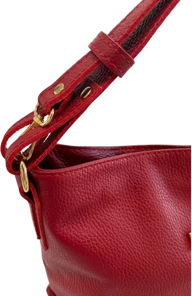 Clutch Sumkasi, Ko'p Rangli Sigir Terisi