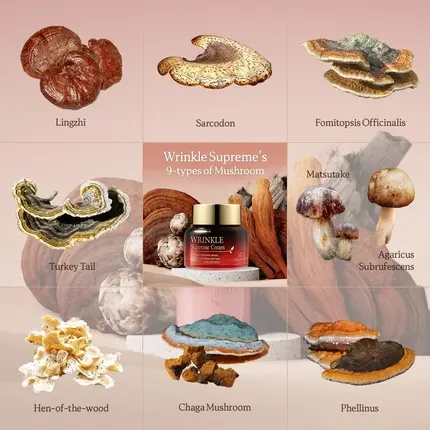 Face Cream The Skin House Wrinkle Supreme Cream