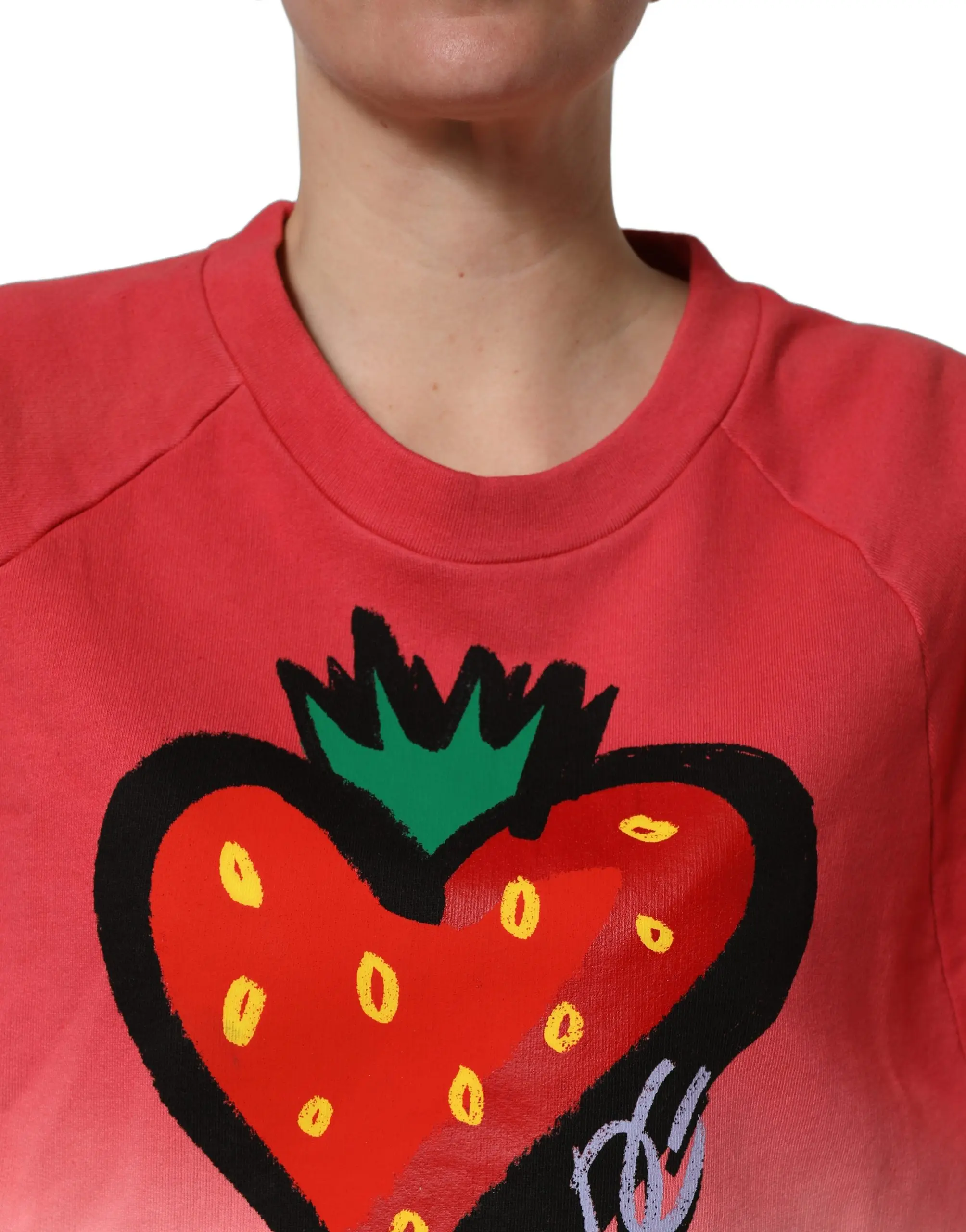 Sweatshirt Sviter Dolce & Gabbana