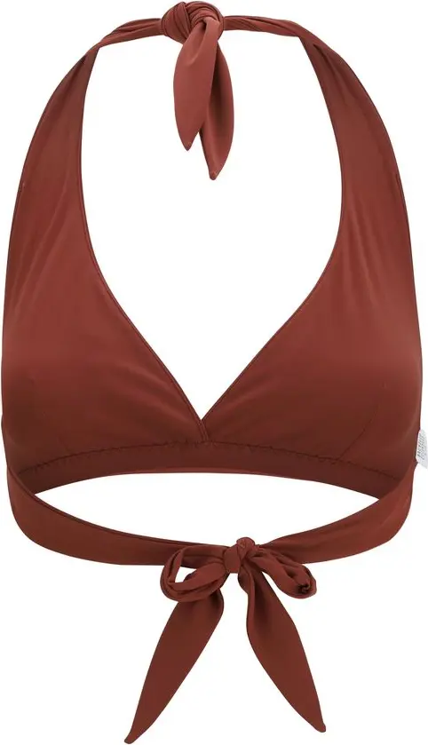 Brunello Cucinelli Bikini Top