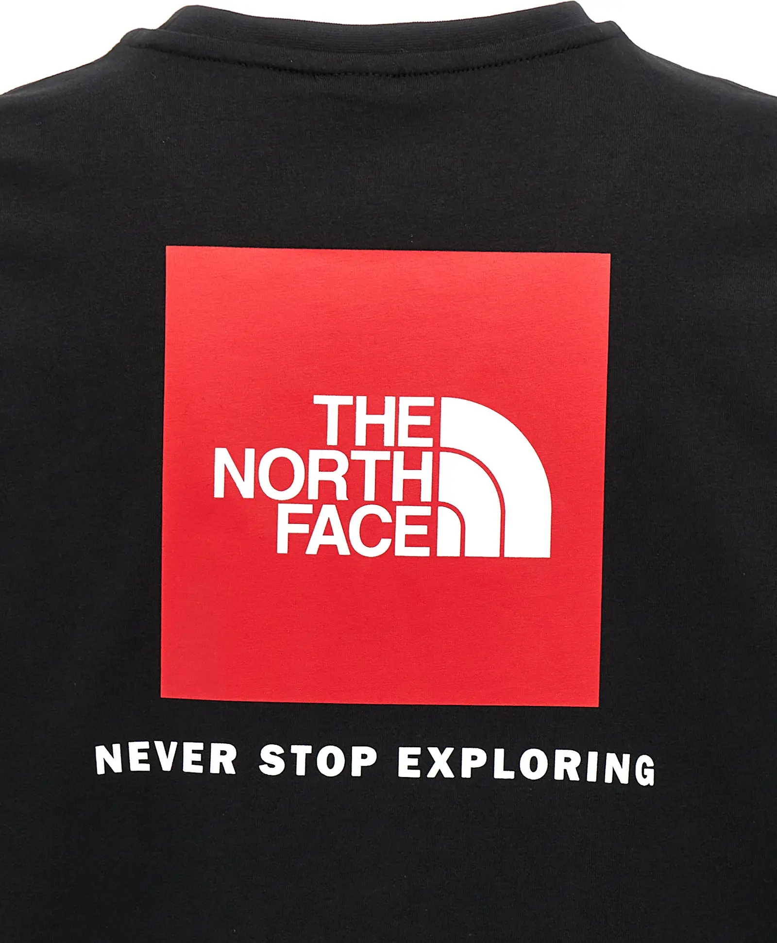 The North Face futbolkasi