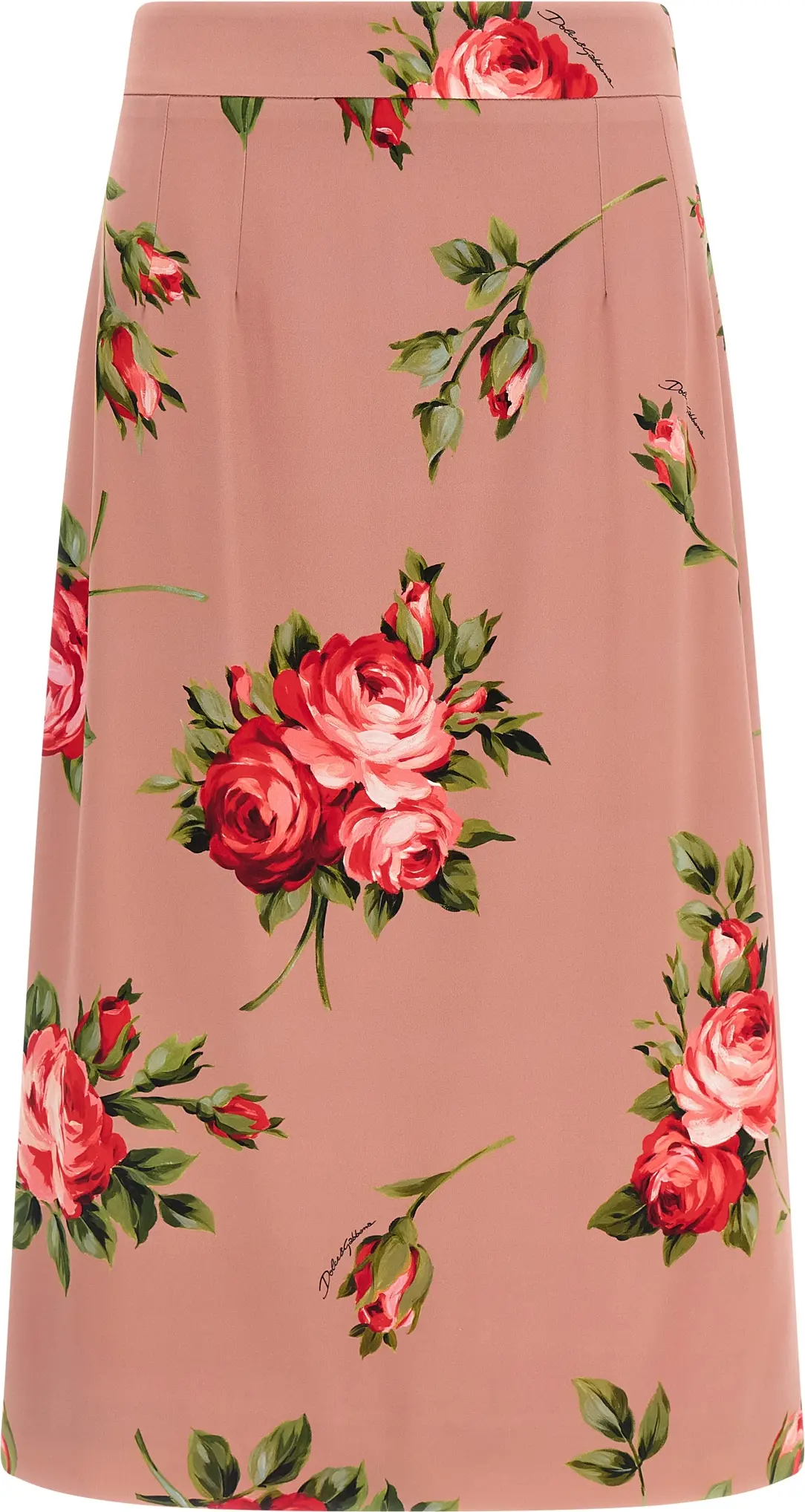 Midi Skirt Dolce & Gabbana