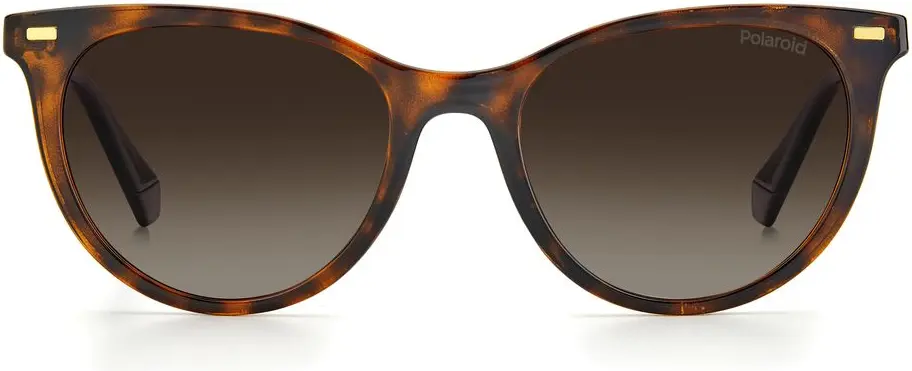 Sunglasses Polaroid Brown Resin