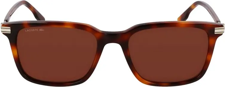 Sunglasses Brown Acetate Lacoste