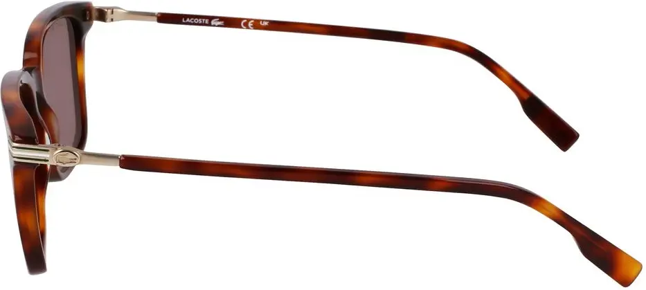 Sunglasses Brown Acetate Lacoste