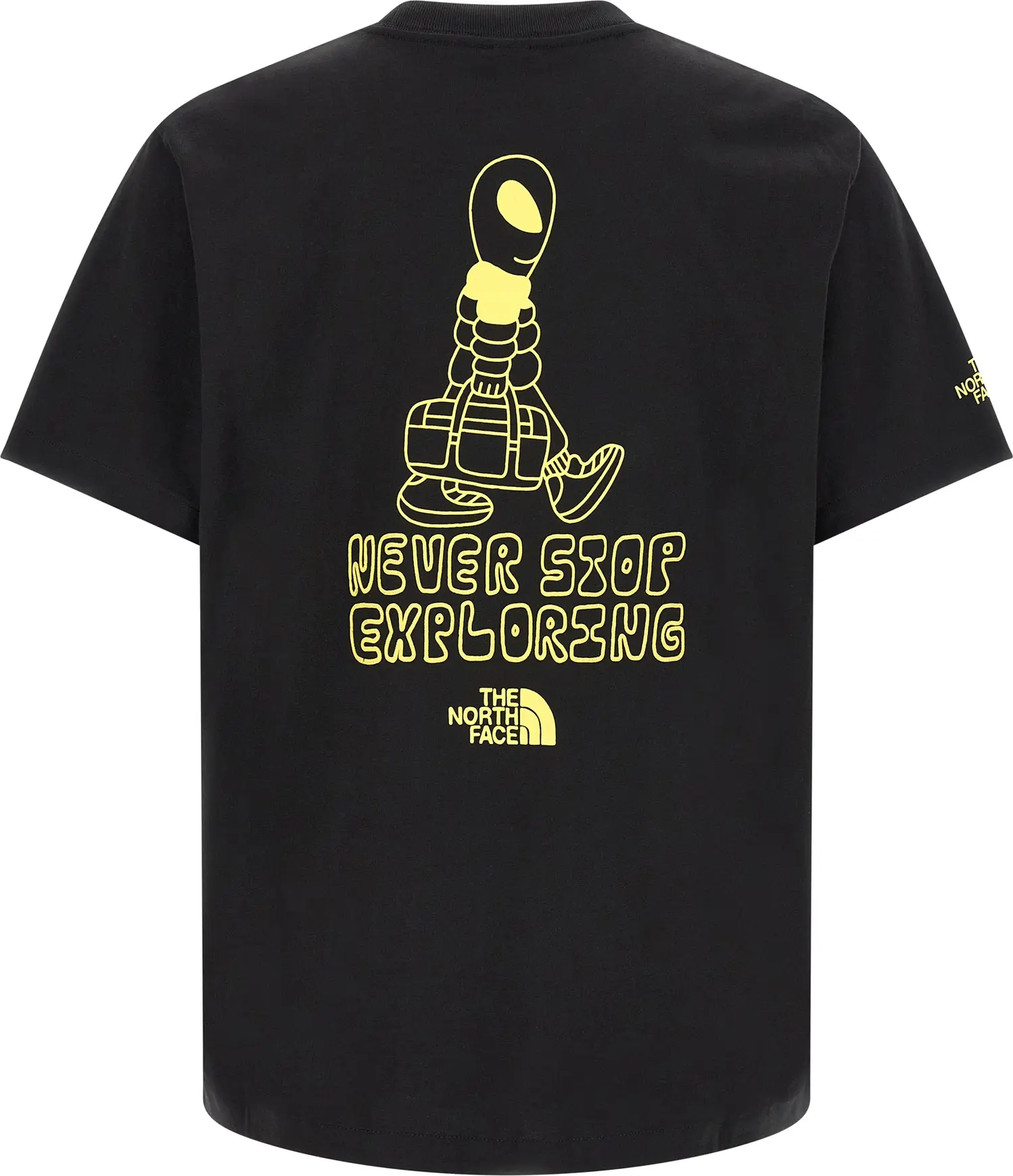 Футболка The North Face