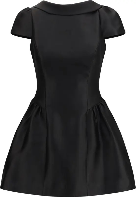 Dress Self-Portrait