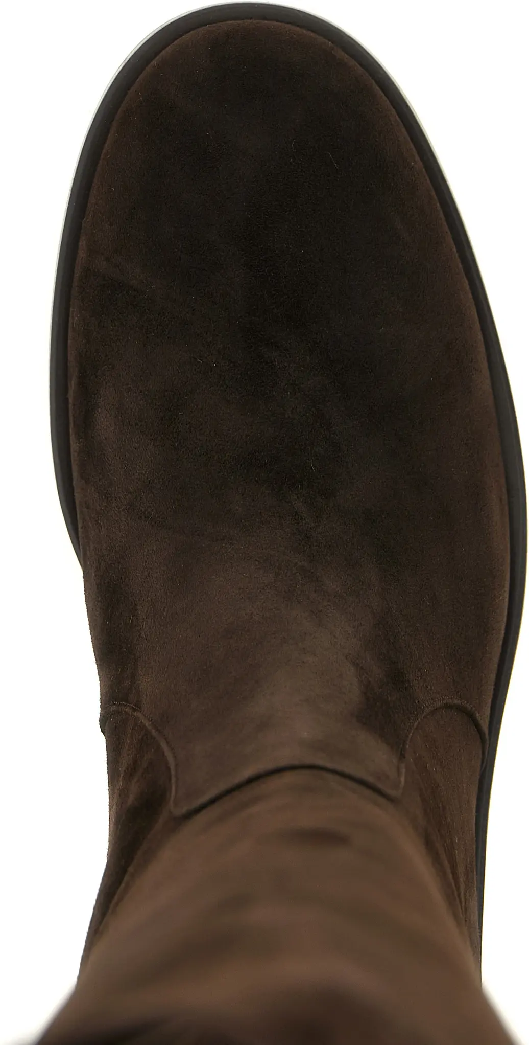 Сапоги Gianvito Rossi Zayne