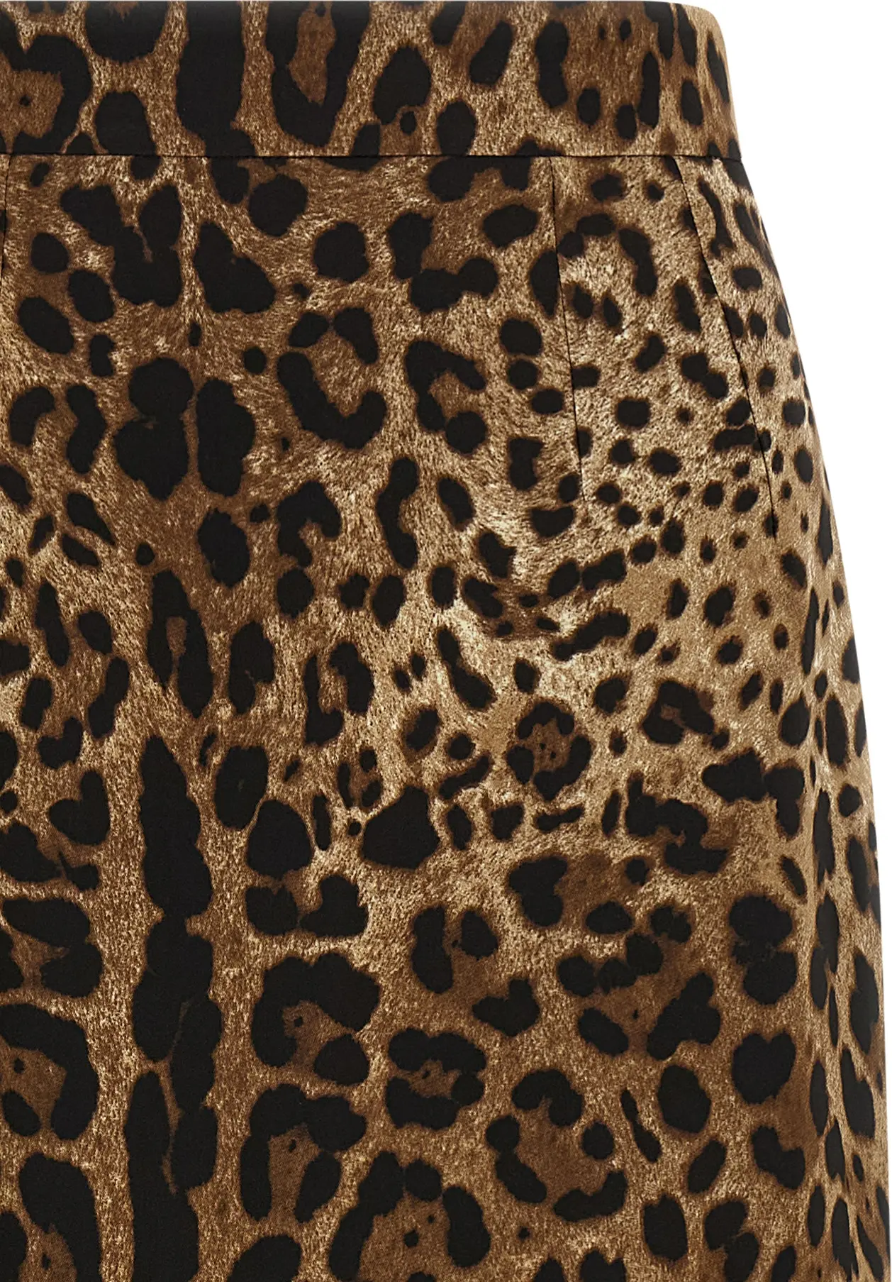 Skirt Dolce & Gabbana