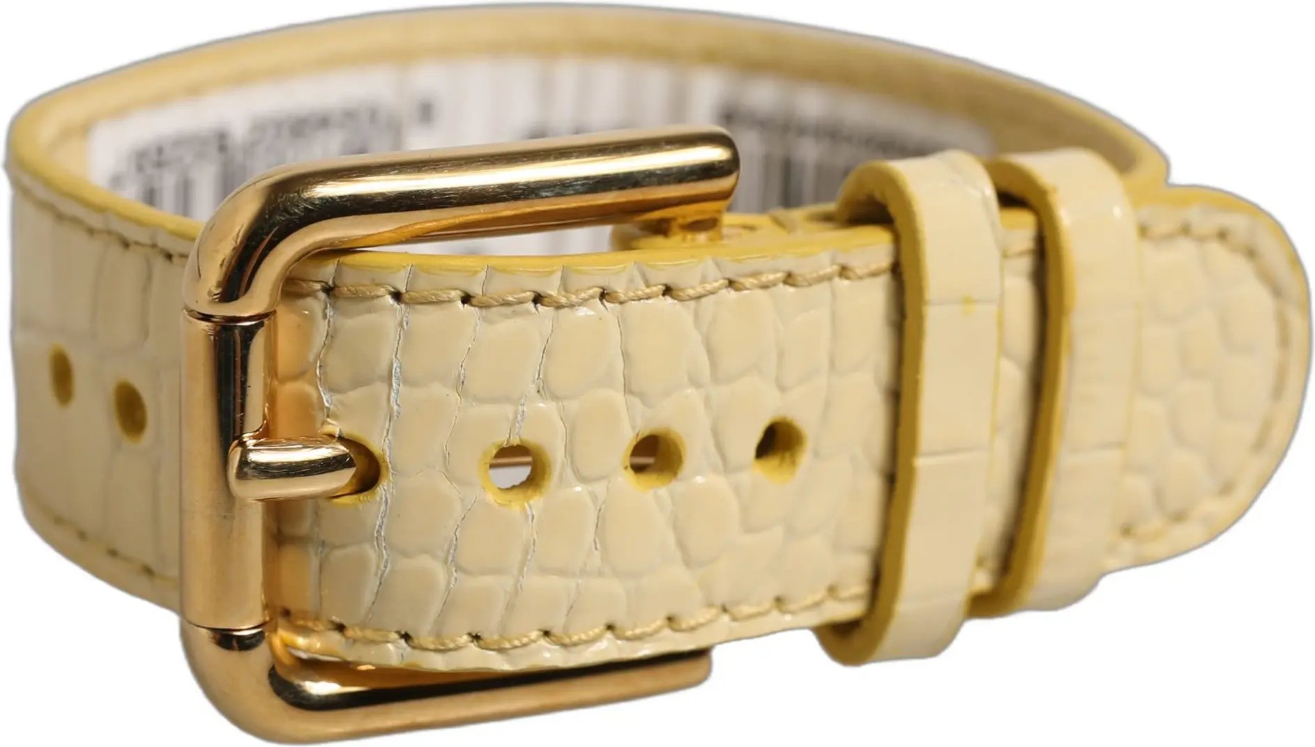 Dolce & Gabbana bilaguzugi