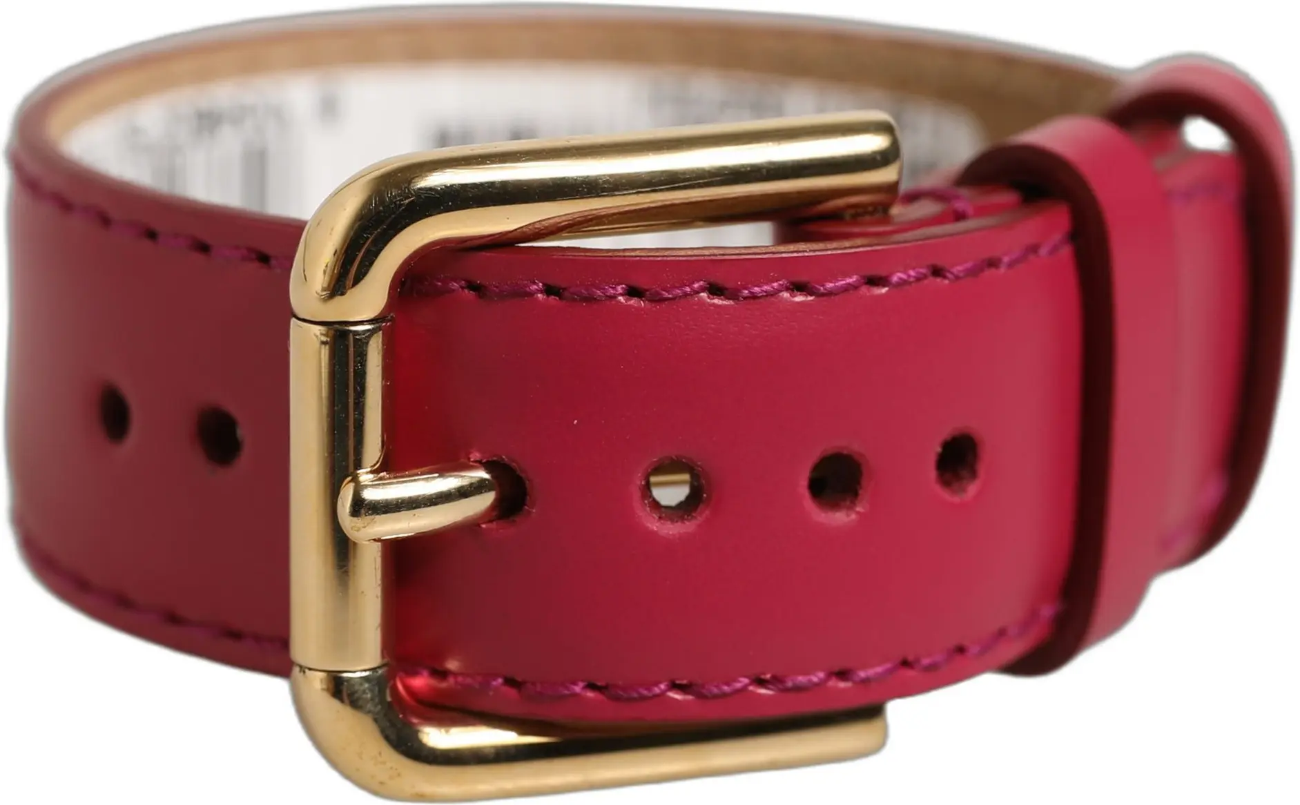 Dolce & Gabbana bilaguzugi
