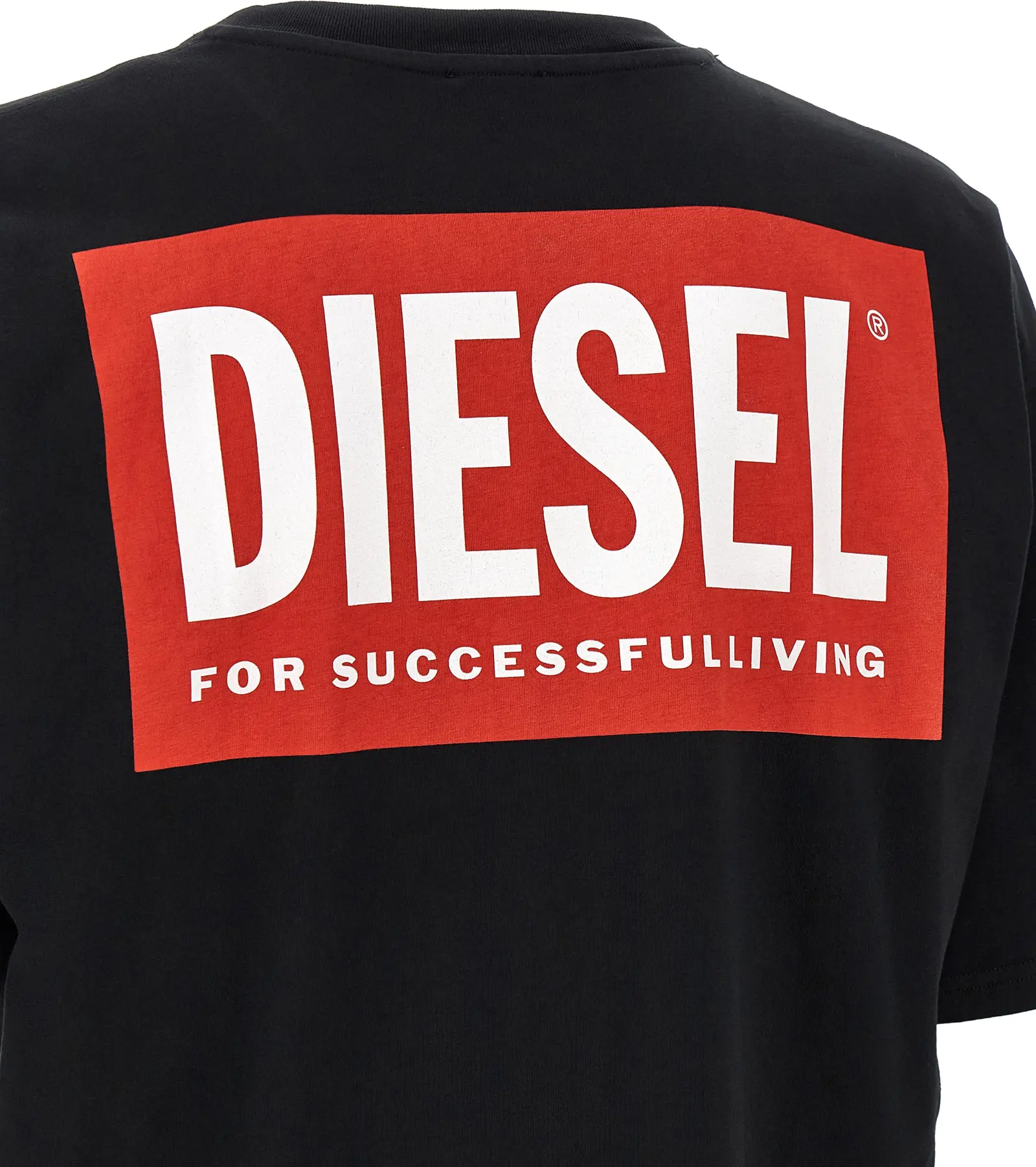 Футболка Diesel T-Boxt-Bisk