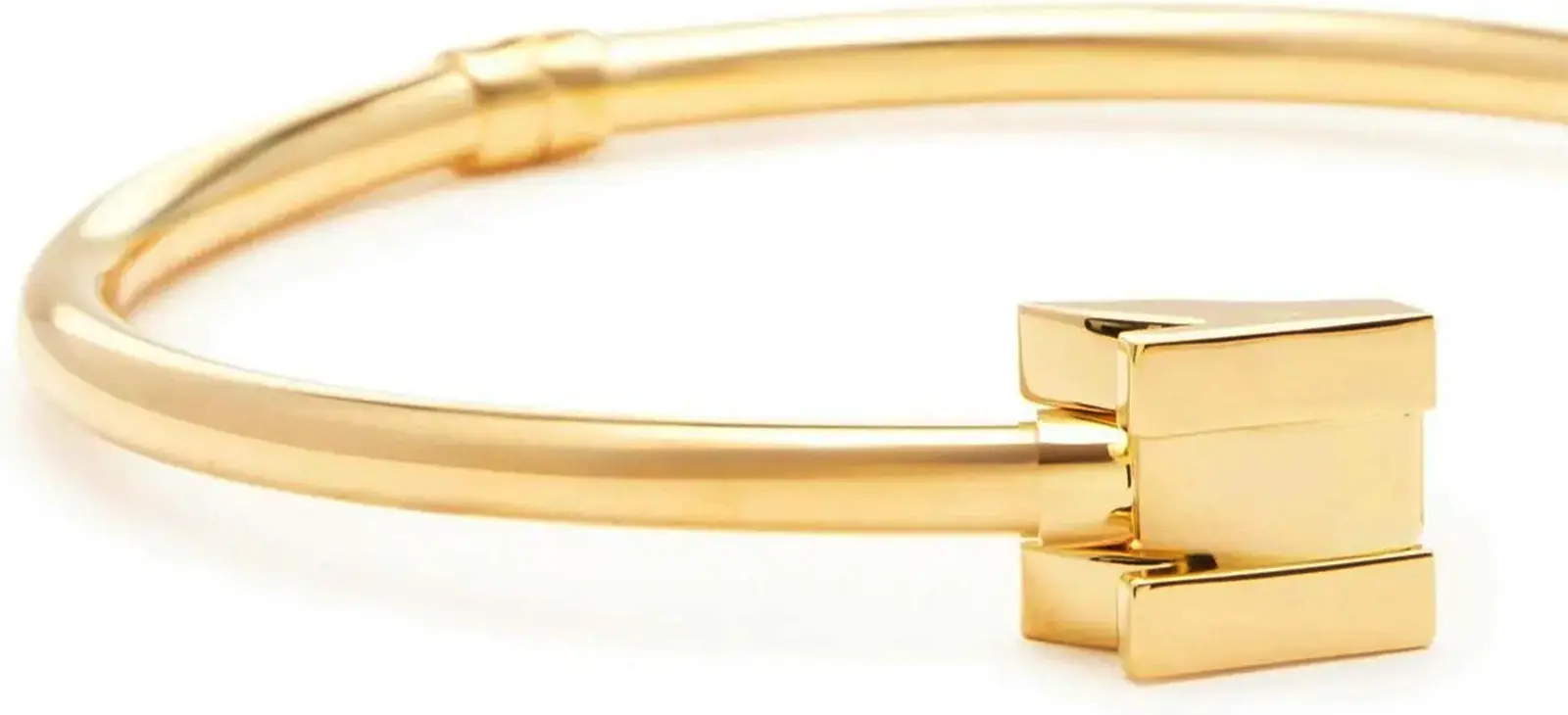 Elisabetta Franchi bo‘yinbog‘i
