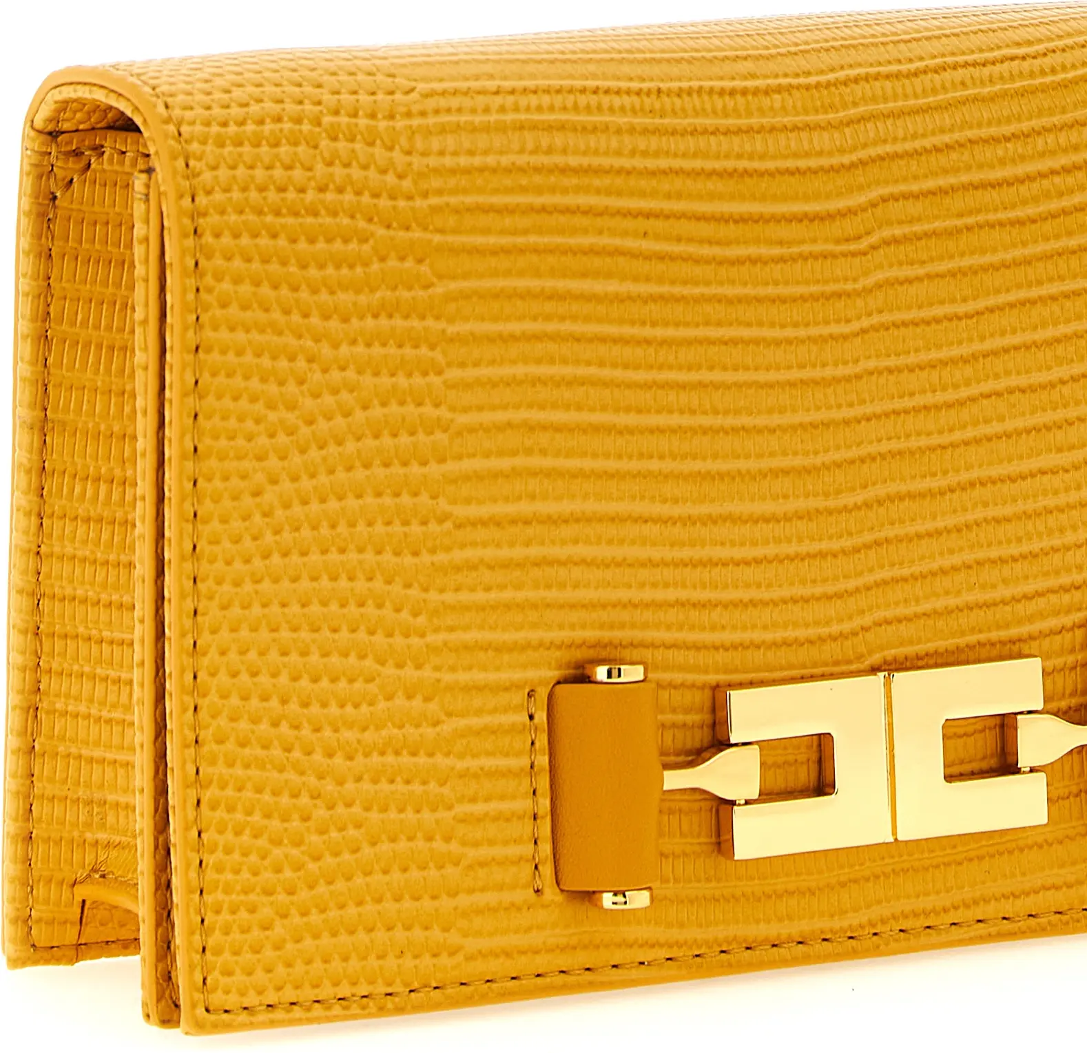 Crossbody Bag Elisabetta Franchi