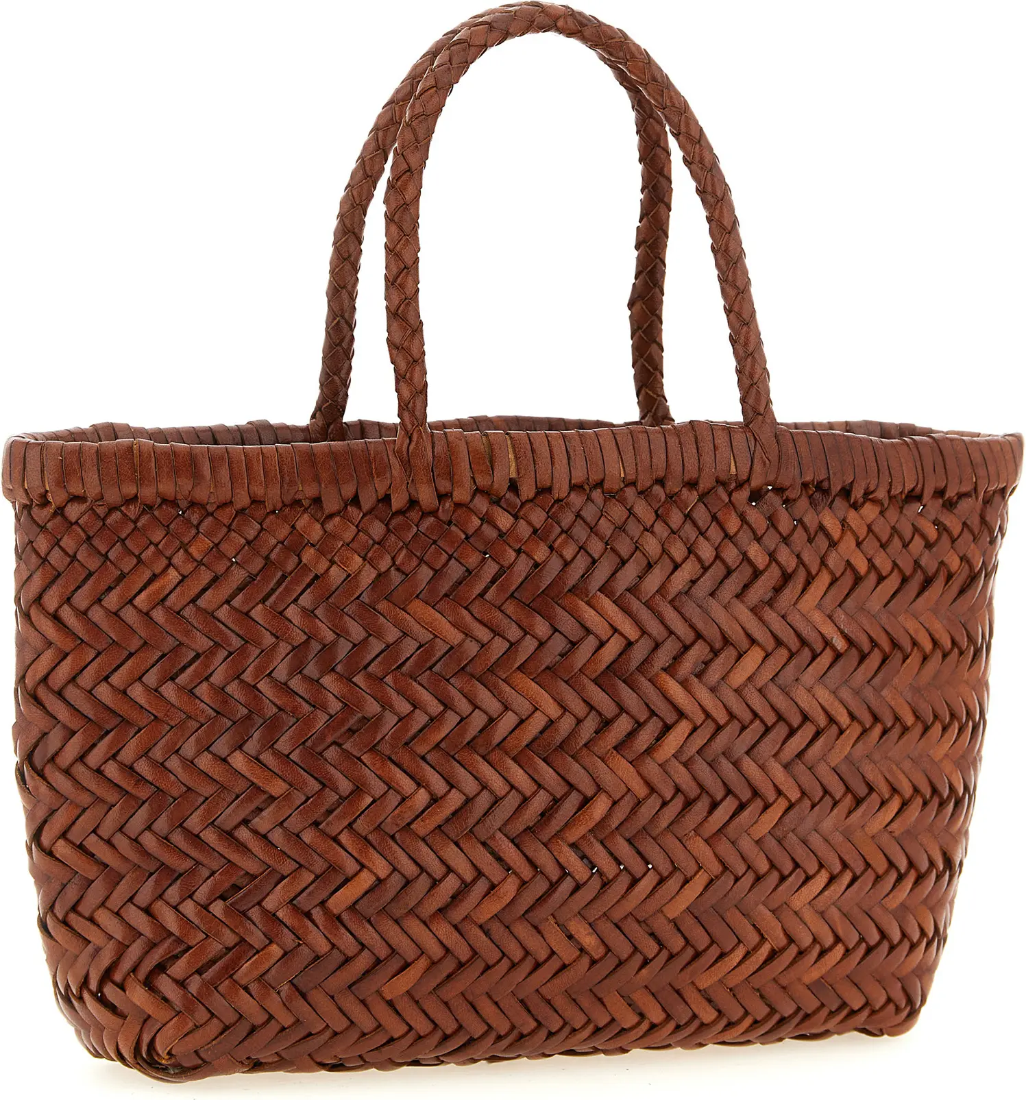 Handbag Dragon Diffusion