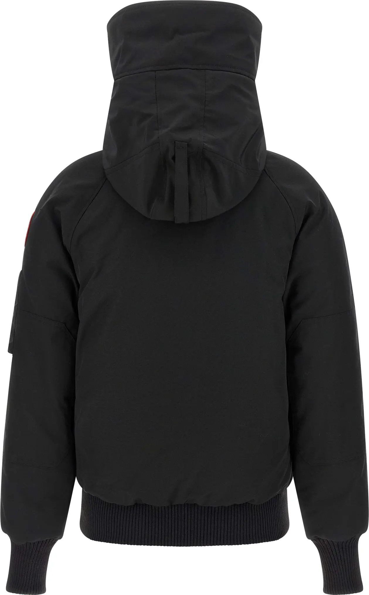 Bomber Jacket Canada Goose Chilliwack