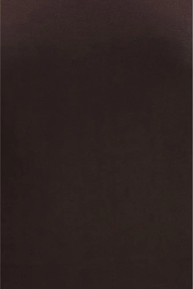 Bodysuit Wolford