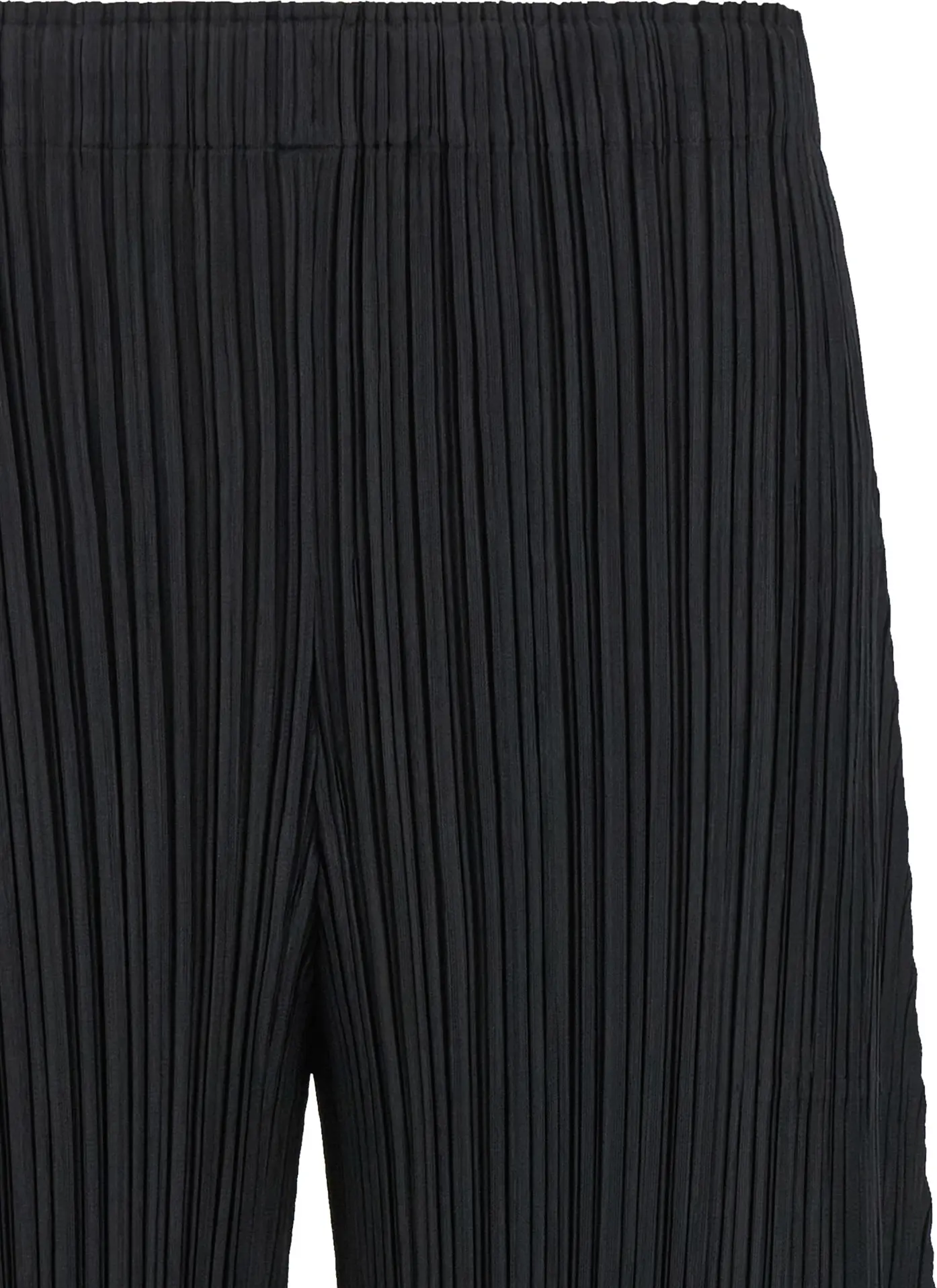 Pants Pleats Please Issey Miyake