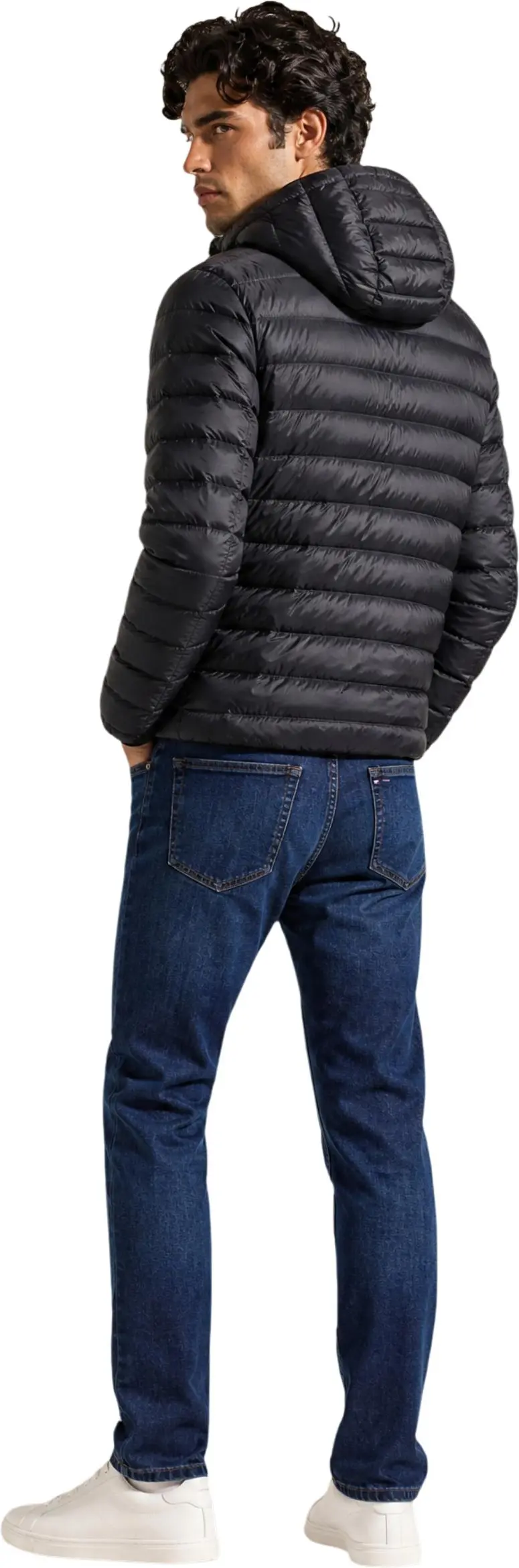 Jacket Tommy Hilfiger