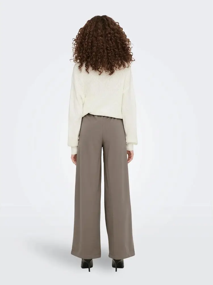 Casual Pants Jacqueline de Yong